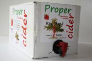 Fruit Berry Cider 4.9 Litres 