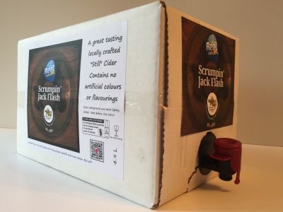 Real Radio XS Cider 4.9 Litres Medium
