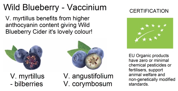 Wild Blueberry Cider - Nutritional Info